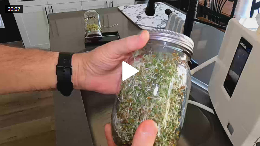 Make Broccoli Sprouts With Ionized Alkaline Water