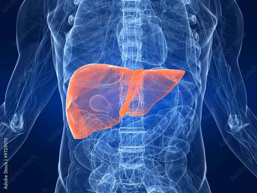 Buy a Water Filter, or Be a Water Filter - Protect Your Liver